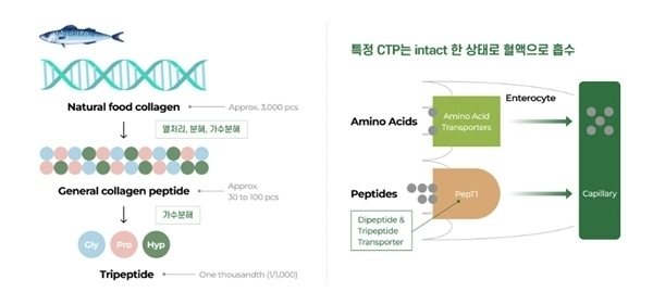 사진: 뉴트리 제공