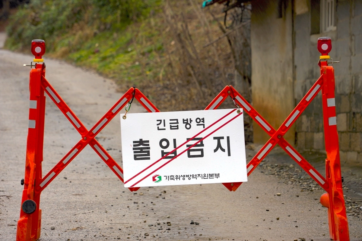 지난 24일 ASF 발생이 확인된 당진시 송산면 한 돼지농장 출입구에. 당진시 제공