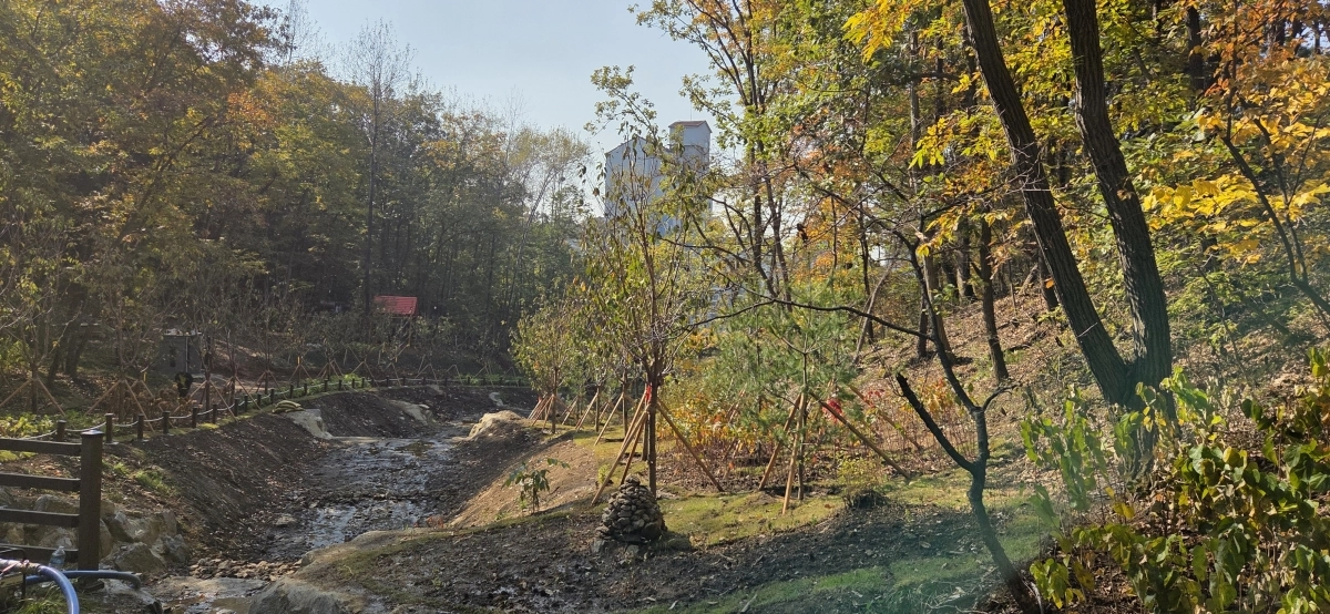 용인시 죽전동 도시 숲(용인시 제공)