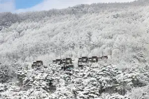 ‘크리스마스 시즌’이 시작됐다…리조트 마다 다양한 이벤트