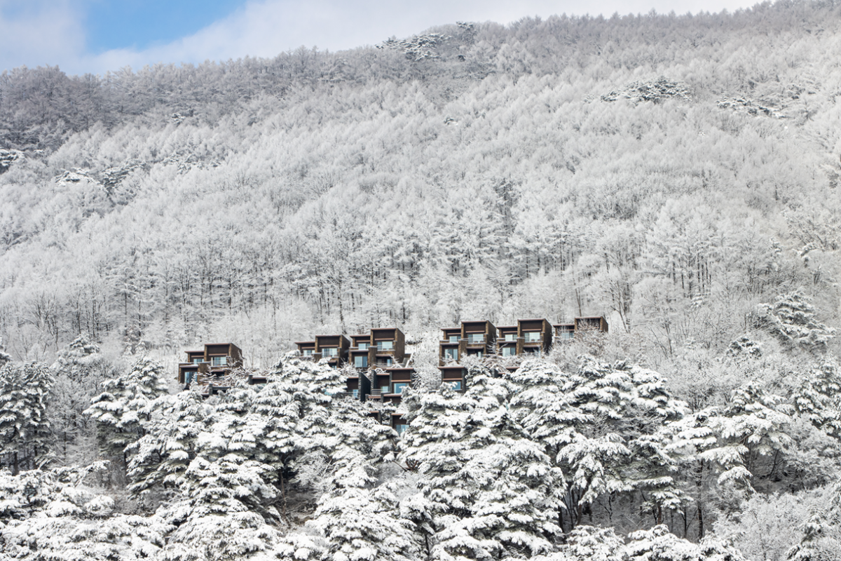 충북 제천 포레스트 리솜의 설경. 리솜리조트 제공.