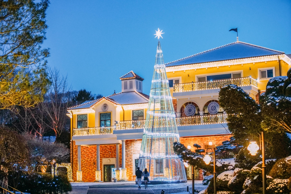 세종시 베어트리파크의 크리스마스 트리. 베어트리파크 제공.