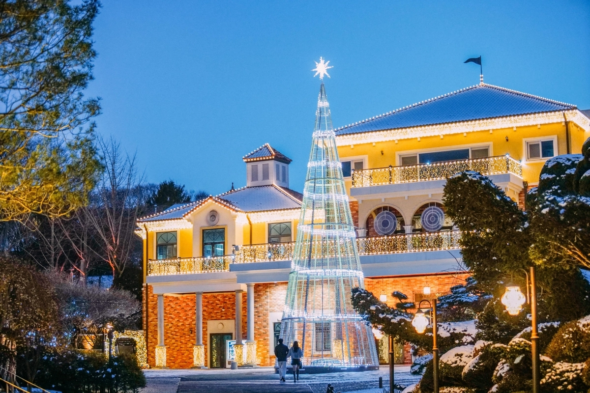 세종시 베어트리파크의 크리스마스 트리. 베어트리파크 제공.