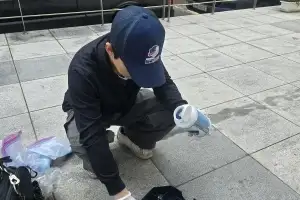 “서울에 왜 이렇게 많은 쥐가”…기후 변화·난개발에 방황하는 도시쥐[취중생]