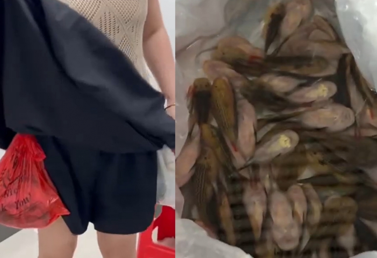 한 여성이 치마 속에 물고기가 들어있는 비닐봉지를 매단 채 중국에 밀반입하려다 세관에 적발됐다. 중국 해관총서(세관) 웨이보 캡처