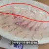 “참돔 2㎏ 회 떴는데 재보니 258g…단골인데 장난질 당했습니다”