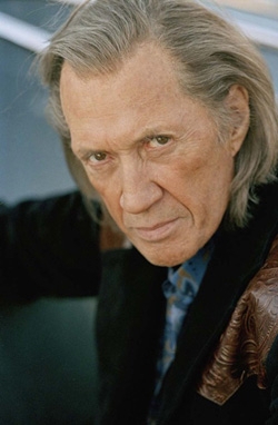 데이비드 캐러딘