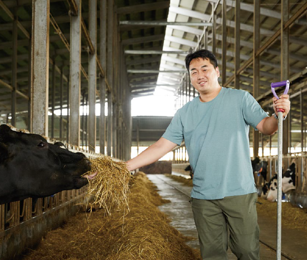 경기 평택 밀키웨이 목장에서 젖소에게 여물을 주는 최홍준씨. 농림축산식품부 제공