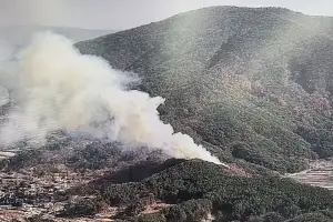 [속보] 울산서 “낙엽 태우다가” 산불 낸 60대…2㏊ 산림 소실