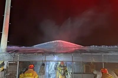 고령 딸기 비닐하우스서 불…딸기 모종 등 불 타