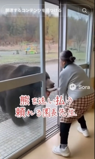 인공지능을 이용해 제작된 가짜 곰 영상. 틱톡 캡처