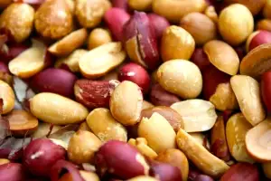 땅콩, ‘이렇게’ 먹으면 치매 예방…“뇌 혈류 늘고 기억력 쑥”