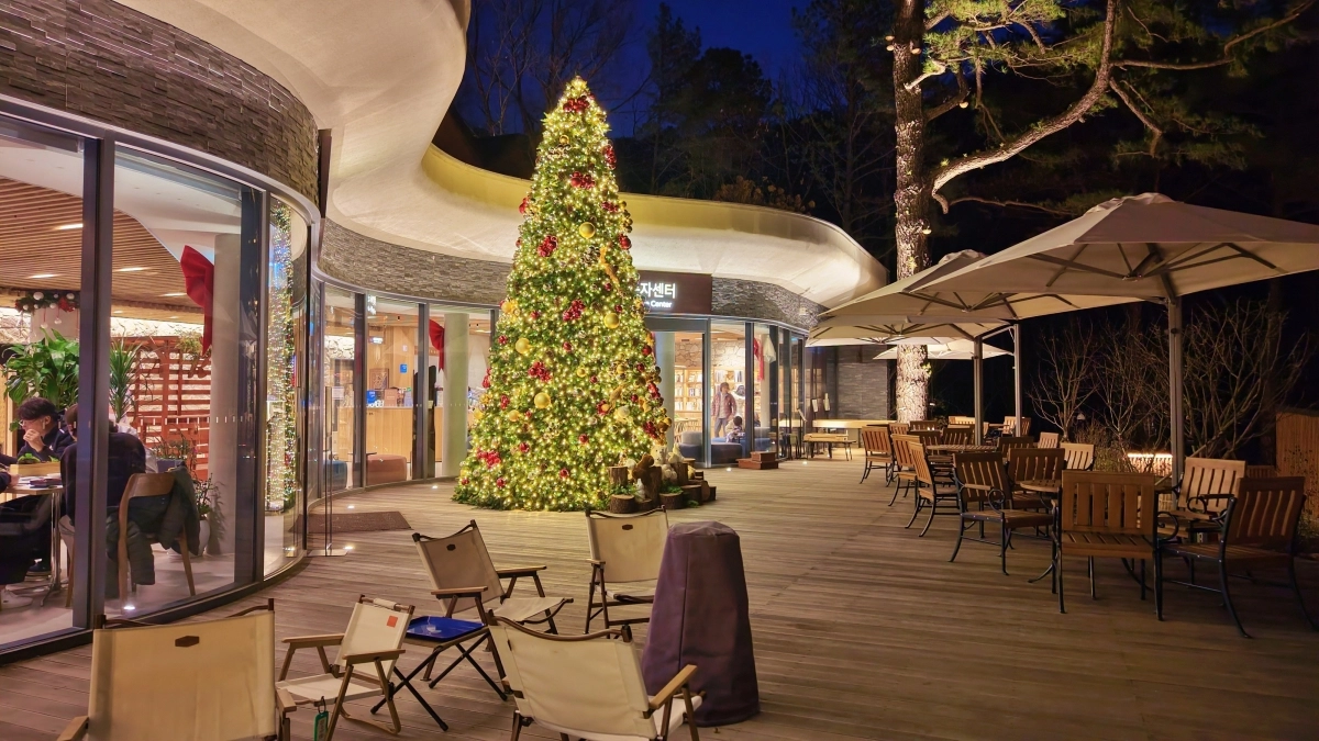 지난 1일 서울 노원구 도심형 자연휴양림 ‘휴마당’에 연말을 맞이해 크리스마스 트리가 설치되어있다.  노원구 제공