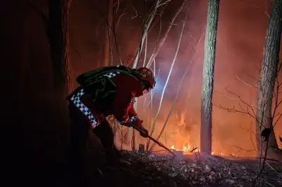 심야에 경북 김천 야산서 불…0.1㏊ 태우고 3시간여 만에 진화