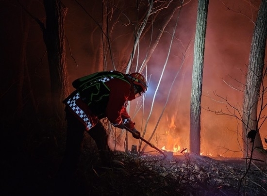 산림 당국이 3일 새벽 경북 김천시 봉산면 광천리 한 야산에서 발생한 불을 끄고 있다.  산림청 제공