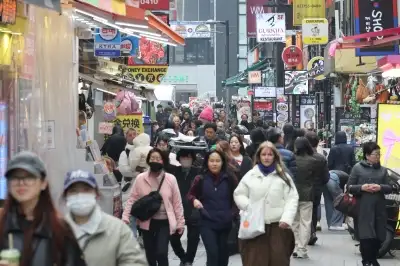 “15분기만에 최고 성장률”… 내수 살아나며 3분기 1.3% 성장