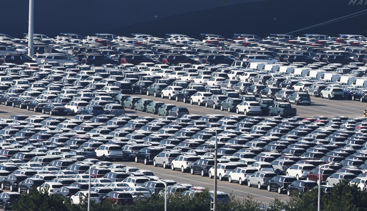 경기 평택항에 수출용 자동차가 세워져 있는 모습. 2025.12.1 연합뉴스