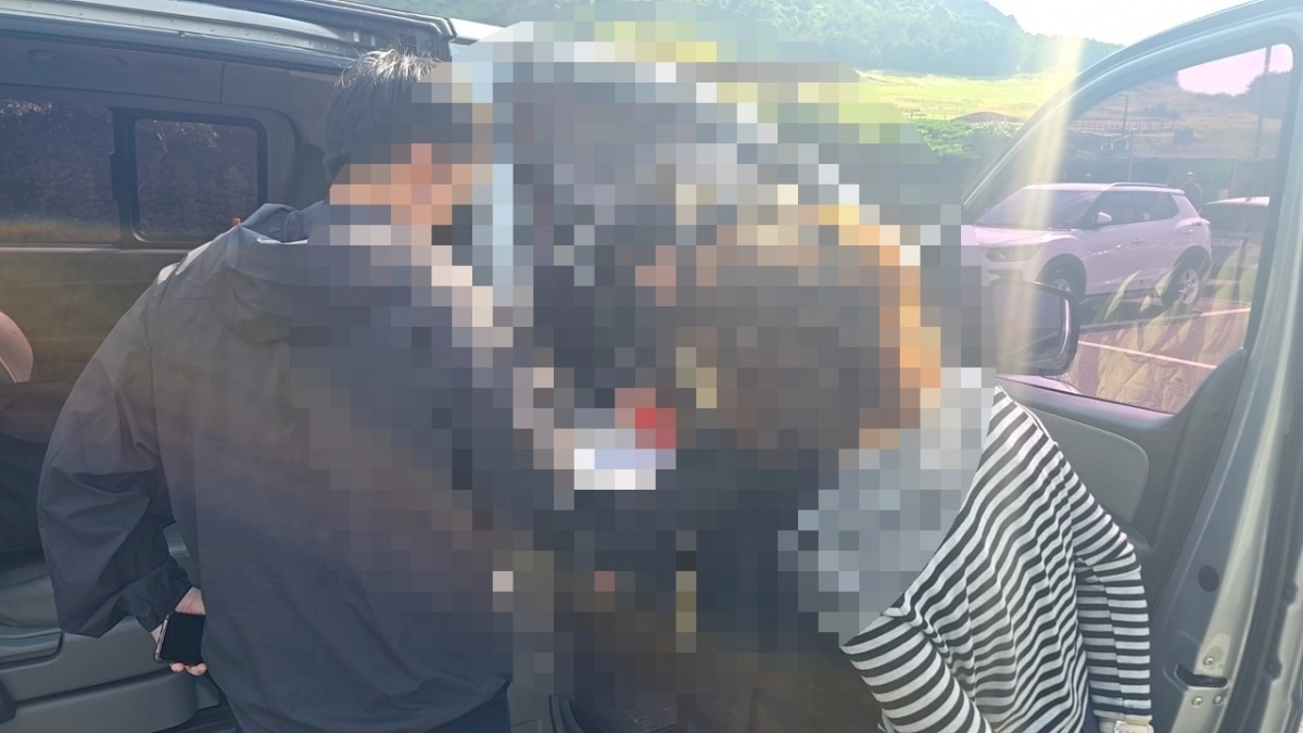 제주도 자치경찰단이 올해 불법 관광영업을 단속한 결과 작년보다 두배 많은 64건을 적발했다. 제주도자치경찰단 제공