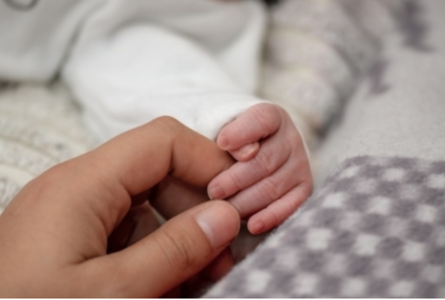 출산 이미지. 서울신문DB