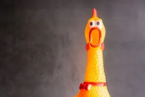 10년간 이웃 여성에 “꼬끼오” 장난감 닭으로 괴롭힌 태국男(영상)