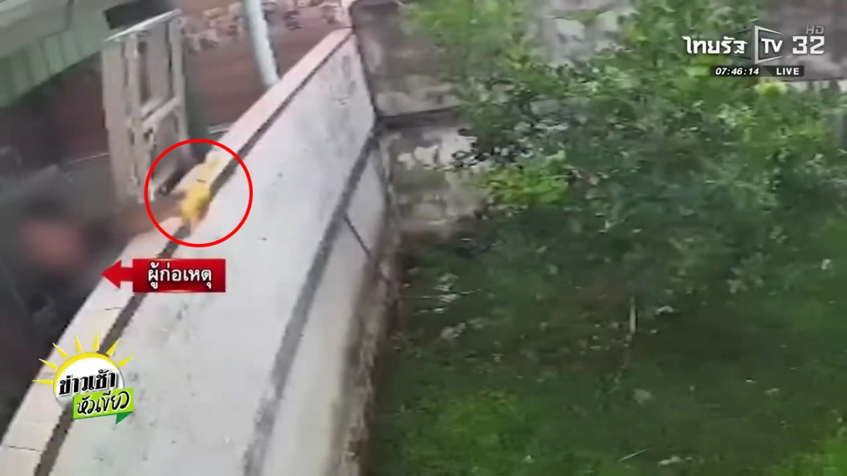 10년간 이웃 여성의 집을 향해 장난감 닭(원 안)으로 소음을 유발한 태국 남성. 타이랏 유튜브 캡처