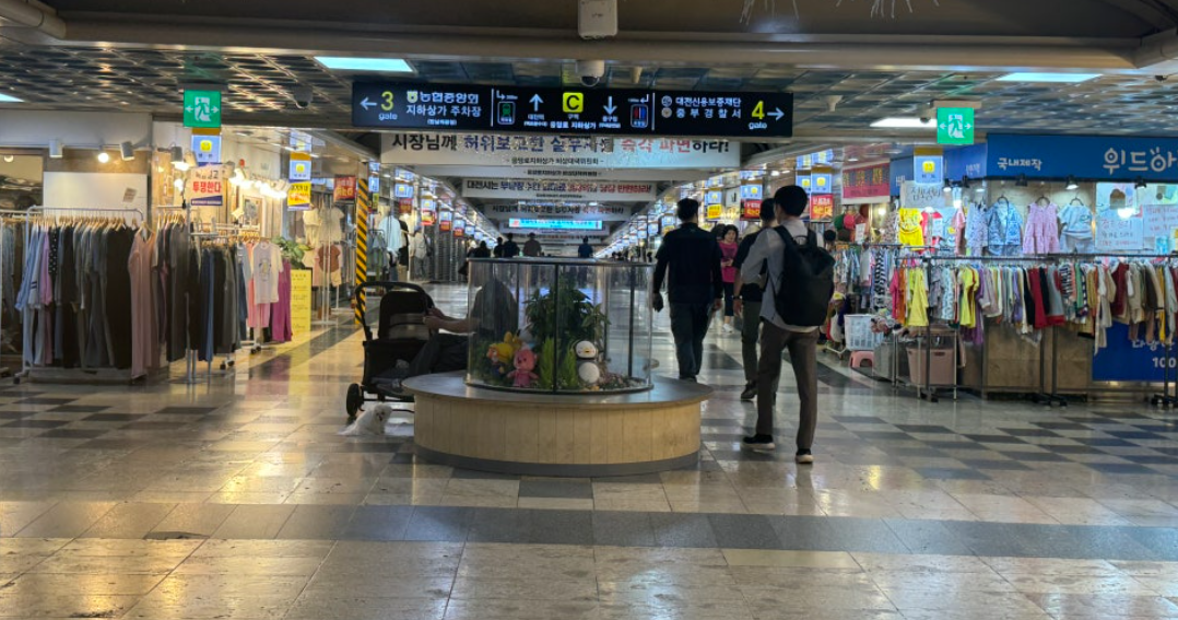 대전 중앙로 지하상가 전경. 대전시 제공