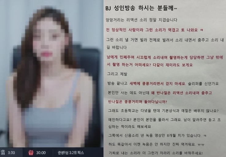 온라인 커뮤니티에 공동주택 내에서 ‘성인방송’을 하는 BJ(인터넷 방송 진행자)로 인한 소음 피해를 호소하는 글이 올라왔다.(자료) 왼쪽은 인공지능(AI)이 생성한 성인방송 BJ 이미지. 자료 : 보배드림