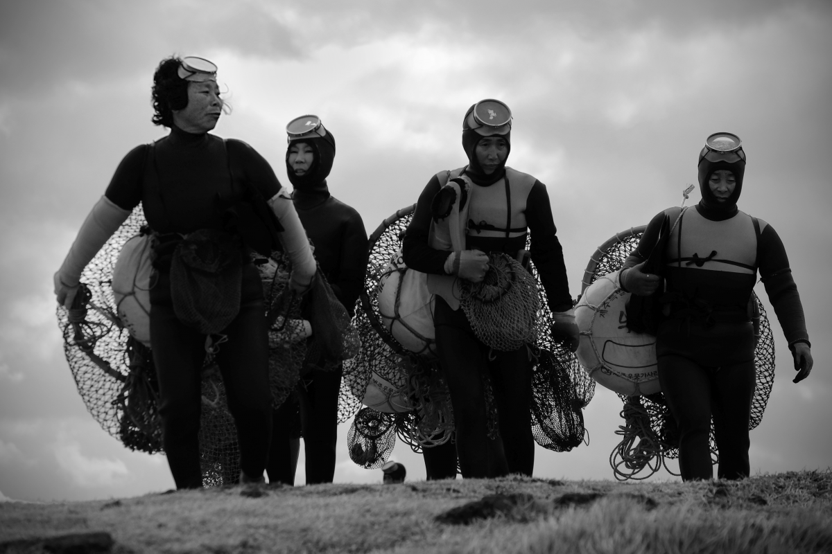 지난 11월 22일 모슬포수협(조합장 문대준)과 사단법인 제주해녀문화협회(이사장 양종훈)가 공동으로 주최·주관하는 ‘제10회 해녀 은퇴식’에서 선보인 물질하러 가는 은퇴해녀들 모습. 제주해녀문화협회 제공