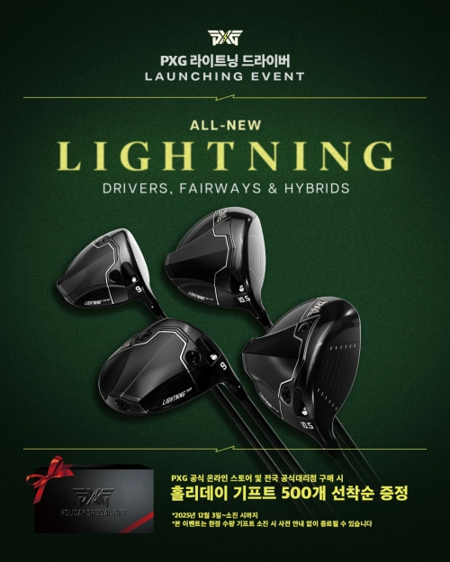 라이트닝 홀리데이 프로모션