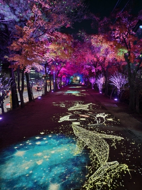 서울 구로구가 야간 조명을 추가 설치한 안양천 고척교 하부.   구로구 제공