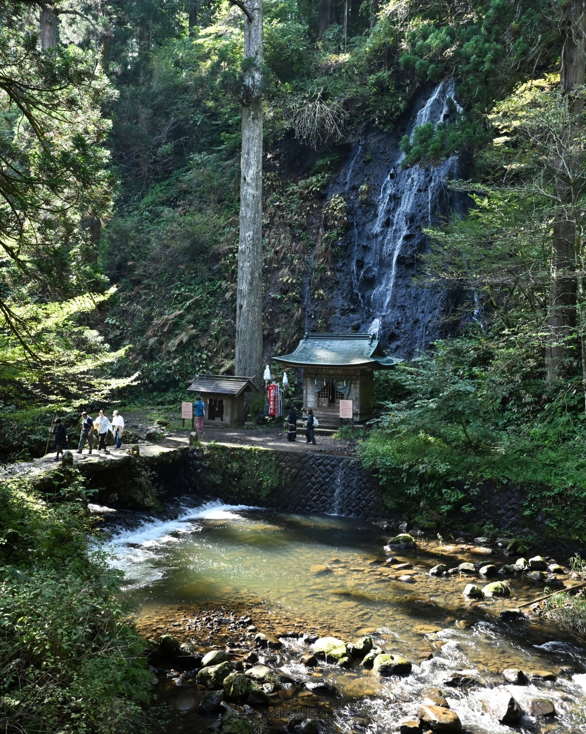 하구로산 참배로 초입에 있는 스가 폭포와 신사.
