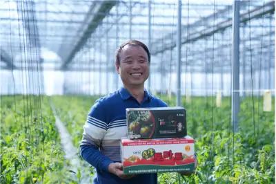 부산 대저토마토 달인 김정용대표... 대한민국 최고농업기술명인 선정