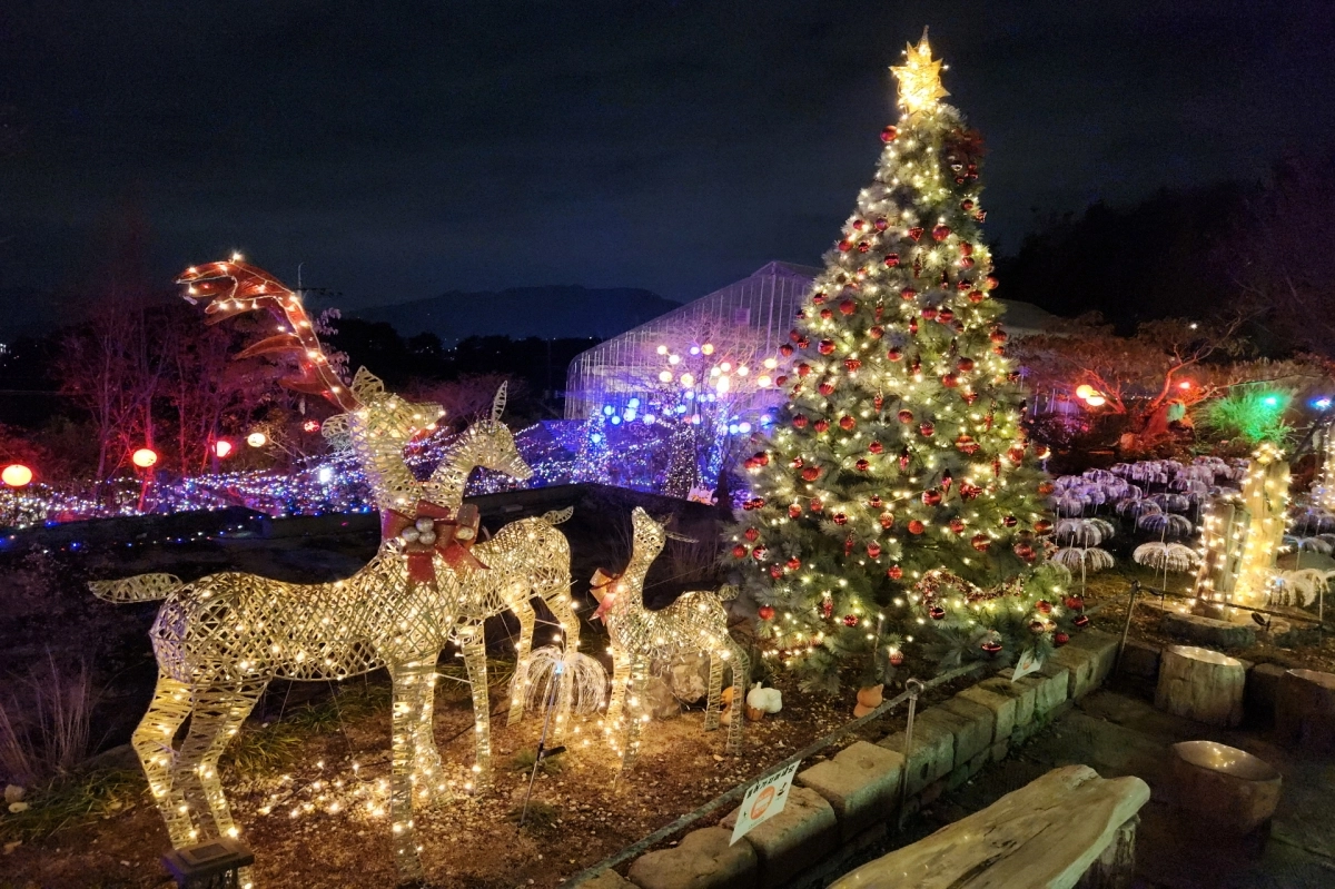 창원 진해보타닉뮤지엄. 2025.12.5. 경남도 제공