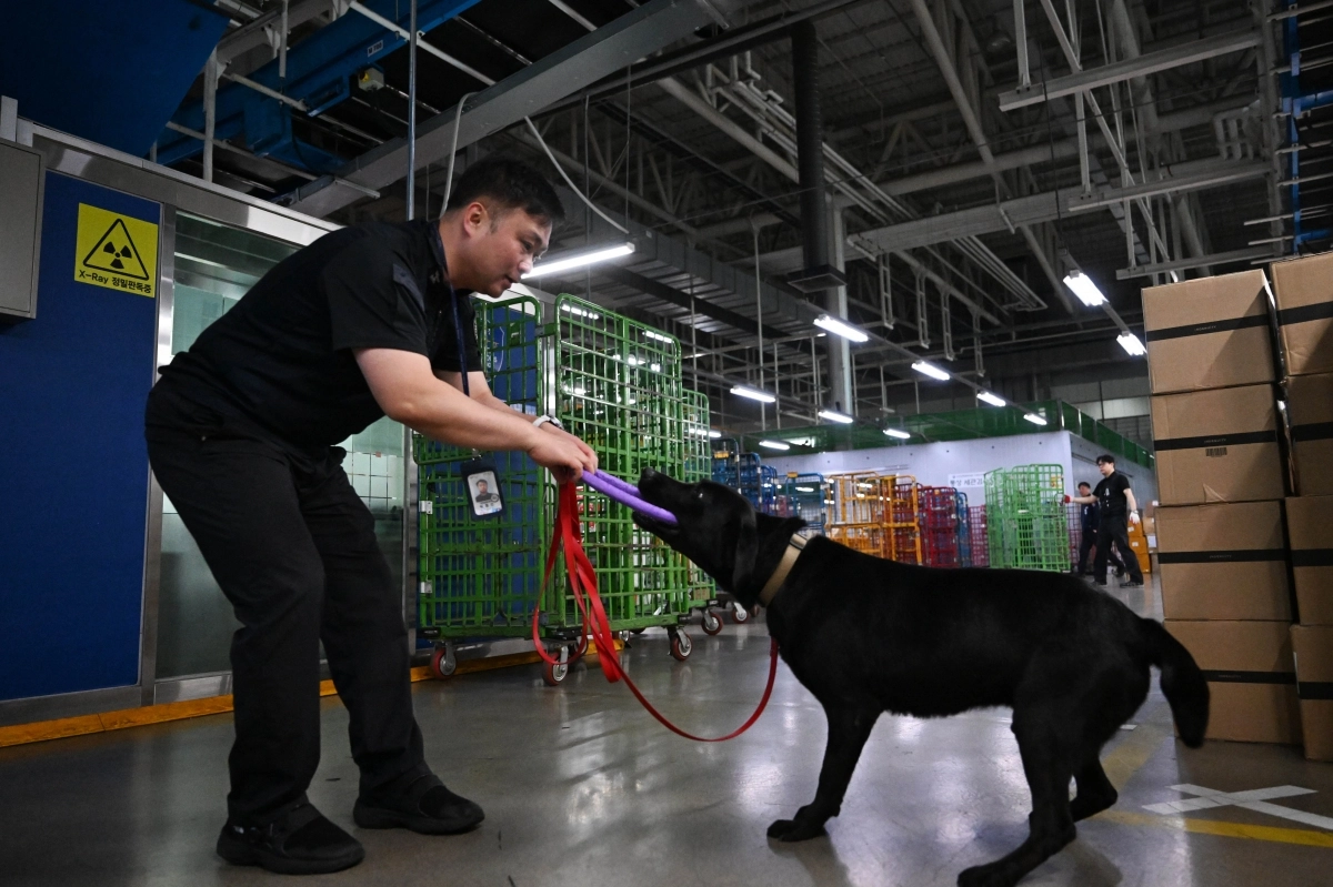 훈련 탐지에 성공한 딜론이가 박 주무관과 보상 놀이를 하고 있다.
