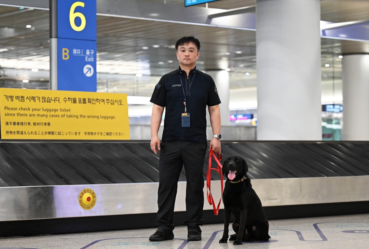 핸들러 박동민 주무관과 탐지견 딜론이.