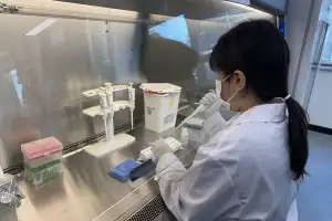 전남 생활하수에서 인플루엔자 지속 검출