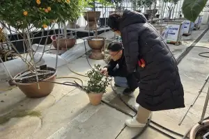 국민 3명 중 1명 식집사...지자체들 반려식물병원 개소