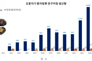 12년새 생산량 9배 증가… 제주 명물 뚝배기 재료 ‘오분자기’가 돌아온다