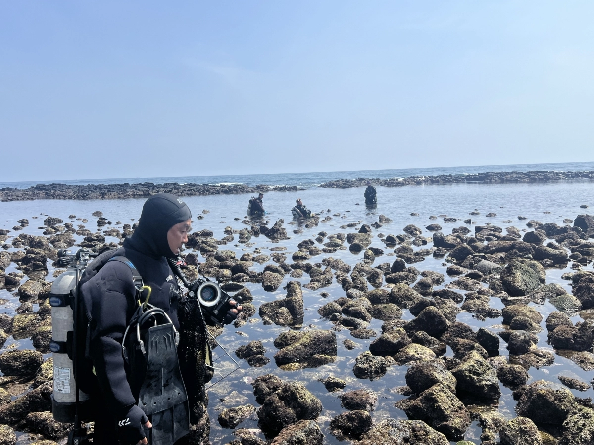 성산읍 시흥리 너븐궤 마을어장에서 오분자기 방류 작업하는 모습. 제주도 제공