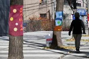 가로수가 건네는 다정한 인사