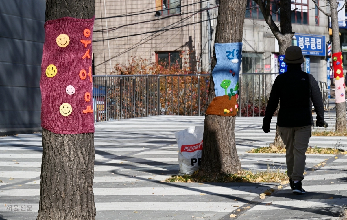 가로수가 건네는 다정한 인사