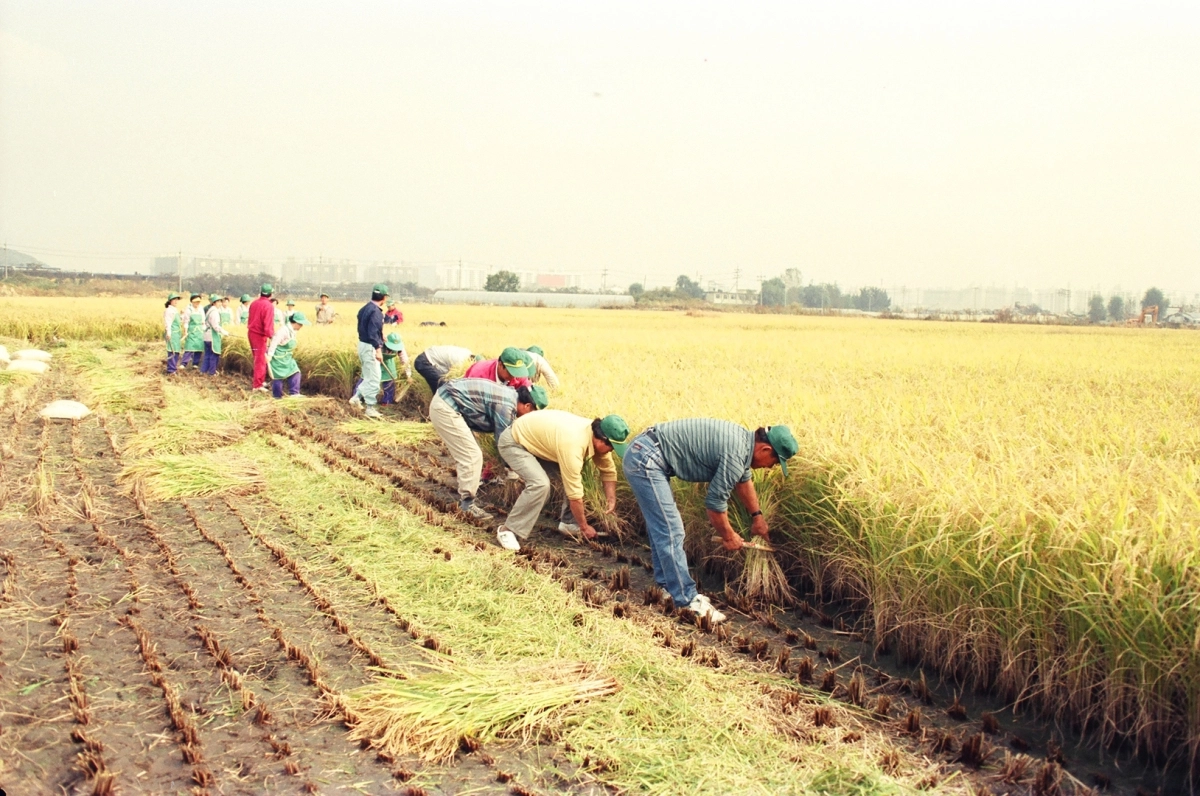 강서 옛 사진 공모전