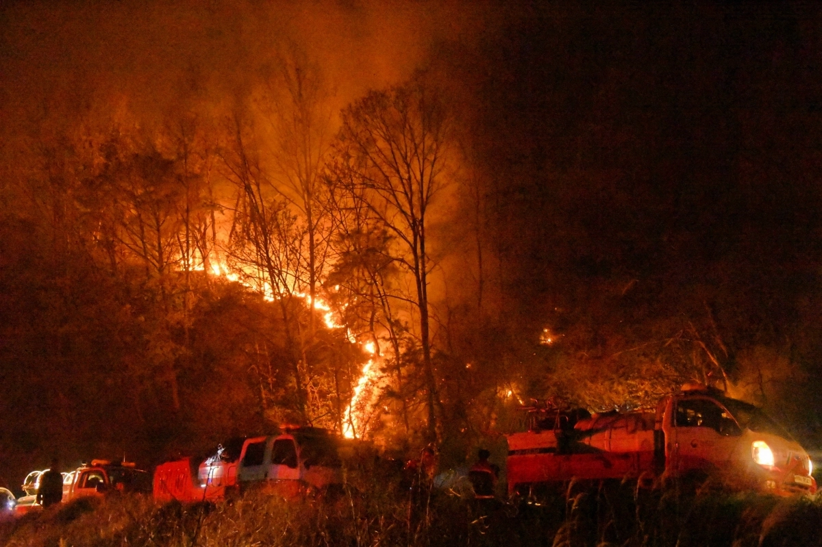 야간까지 이어진 산불. 서울신문 DB