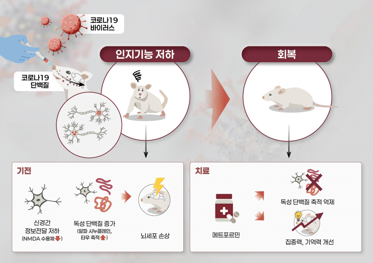 질병청 제공