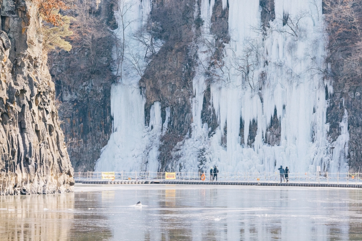 강원 철원 한탄강 물윗길. 철원군 제공