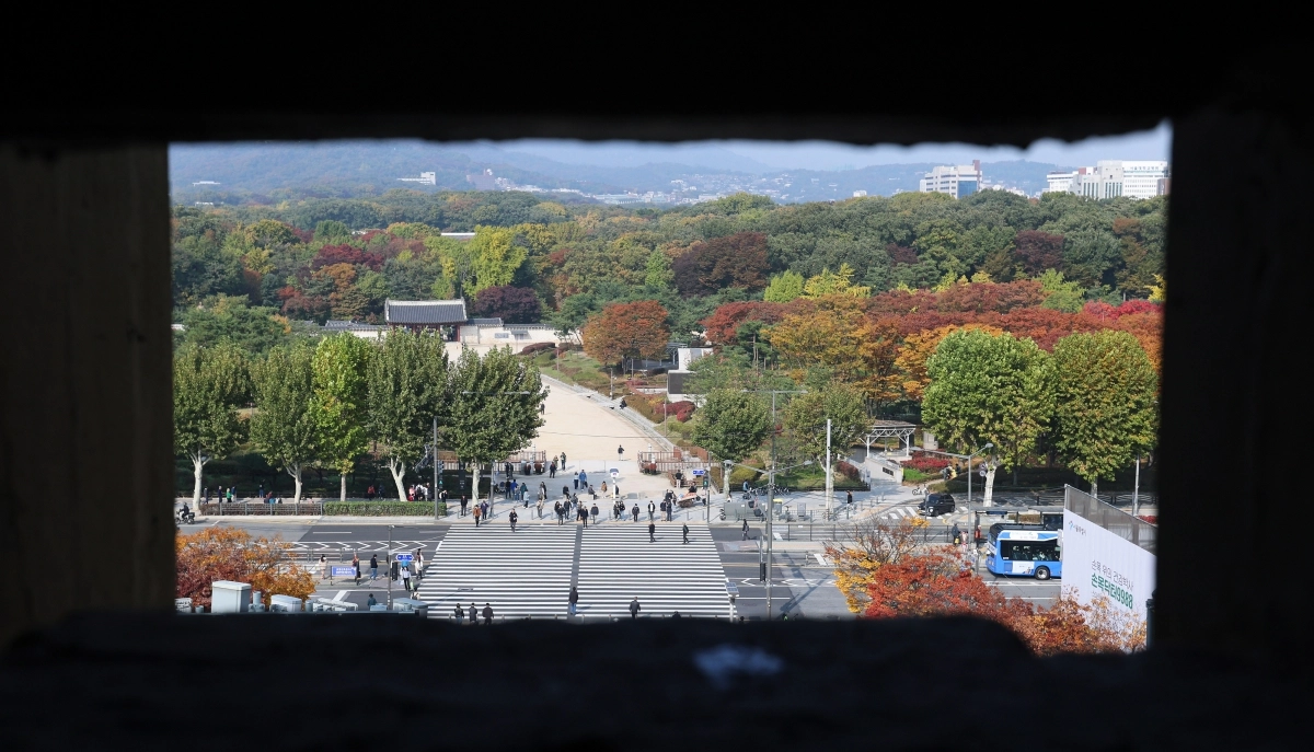 서울 세운상가 쪽에서 본 종묘 모습. 뉴스1.