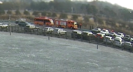 2025년 12월 11일 서울 노원구 육군사관학교에서 탈출한 사슴을 포획하기 위해 출동한 소방 당국. (독자 제공) 연합뉴스