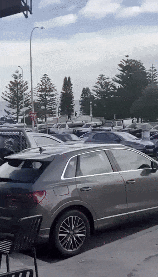 14일(현지시간) 호주ABC방송에 따르면 이날 오후 6시 45분쯤 본다이 비치에서 괴한 2명이 해변객을 상대로 총기를 무차별 난사했다. 사진은 해변객을 향해 총기를 난사하는 괴한들. 2025.12.4 엑스