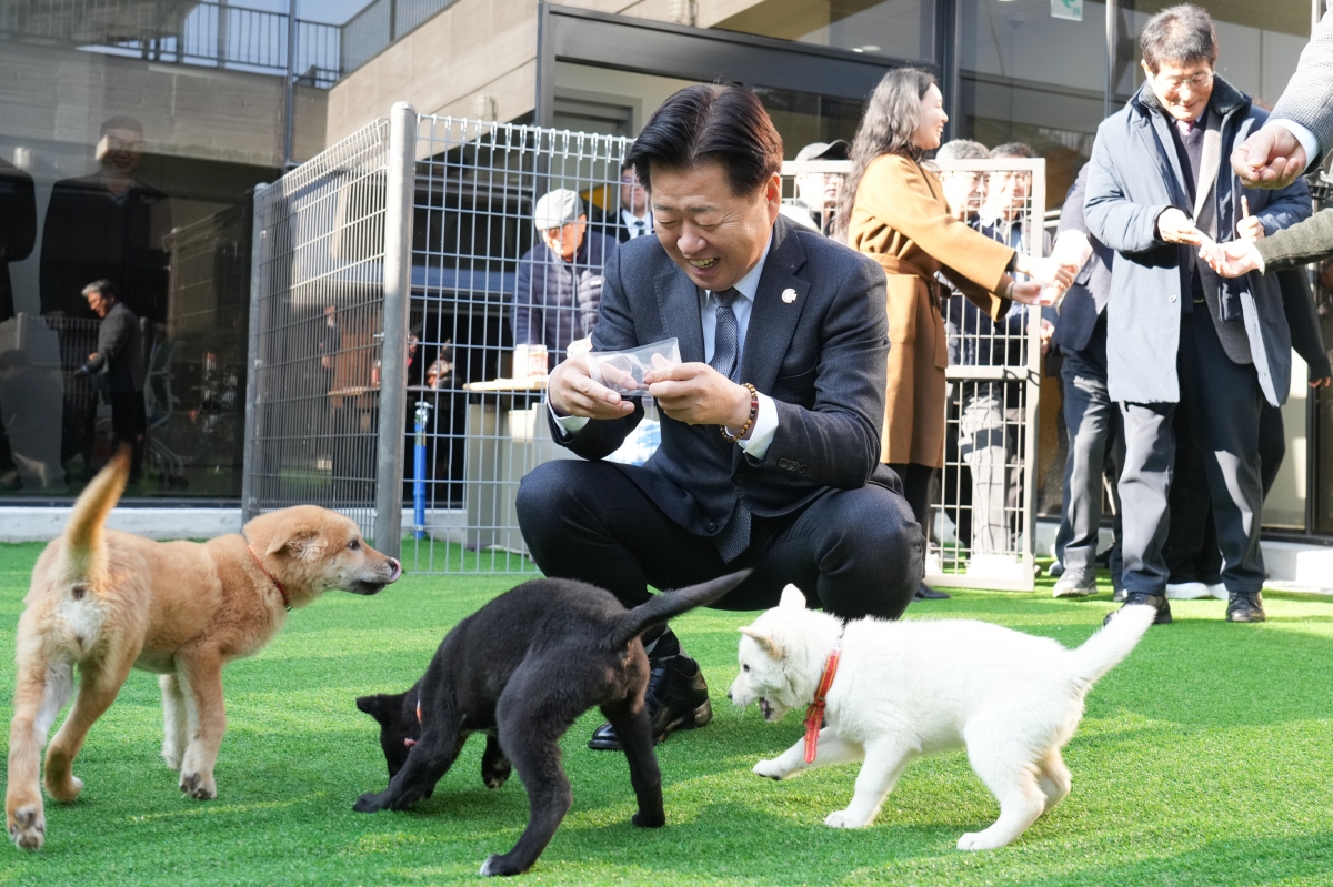 15일 제주시 애월읍 어음리에서 열린 반려동물 놀이공원과 제2 동물보호센터 개관식에 참석한 오영훈 제주도지사가 반려견들에게 간식을 나눠주며 교감하고 있다. 제주도 제공