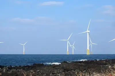 “한수원 567명·한전 216명, 원전 수출업에 중복 투입”